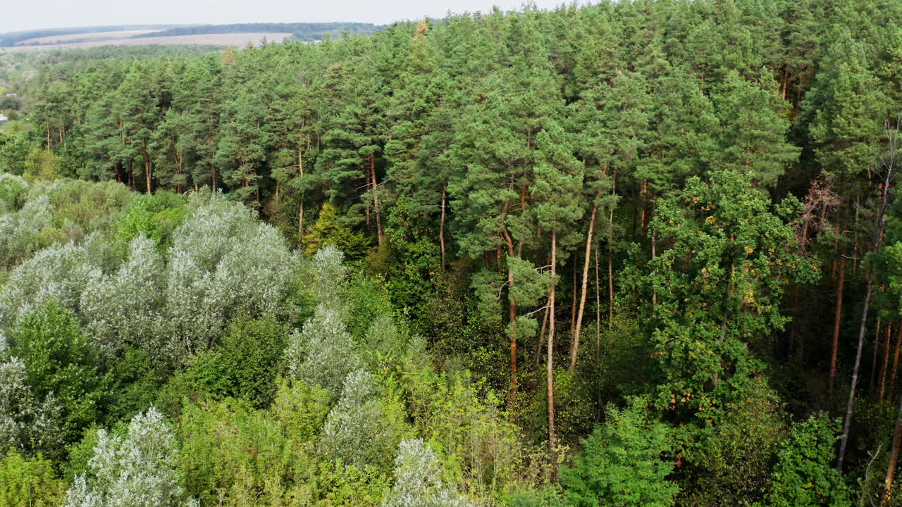 Ecosystem and healthy environment concept and background. Texture of green tree forest view from above. Video from dron.