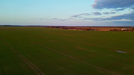 Luftaufnahme-Eines-Offenen-Feldes,-Einer-Ländlichen-Landschaft,-Die-Durch-Einen-Wunderschönen-Sonnenuntergang-Erhellt-Wird