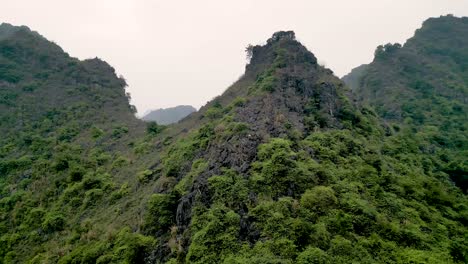 aerial view of goats on a lush mountain