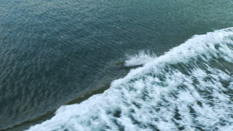 Juego-De-Delfines-De-Lados-Blancos-Del-Pacífico,-Estela-De-Proa-De-Surf-Desde-Un-Gran-Barco-Oceánico