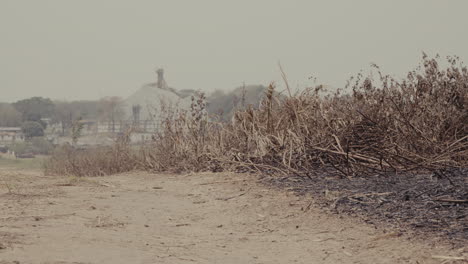 burnt vegetation near an industrial building