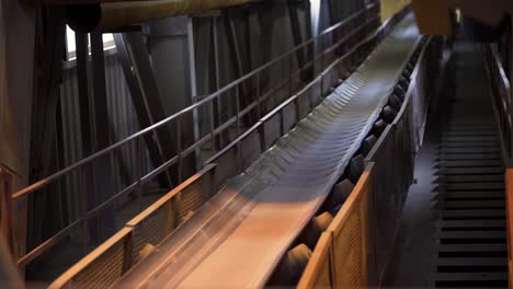 industrial conveyor belt system