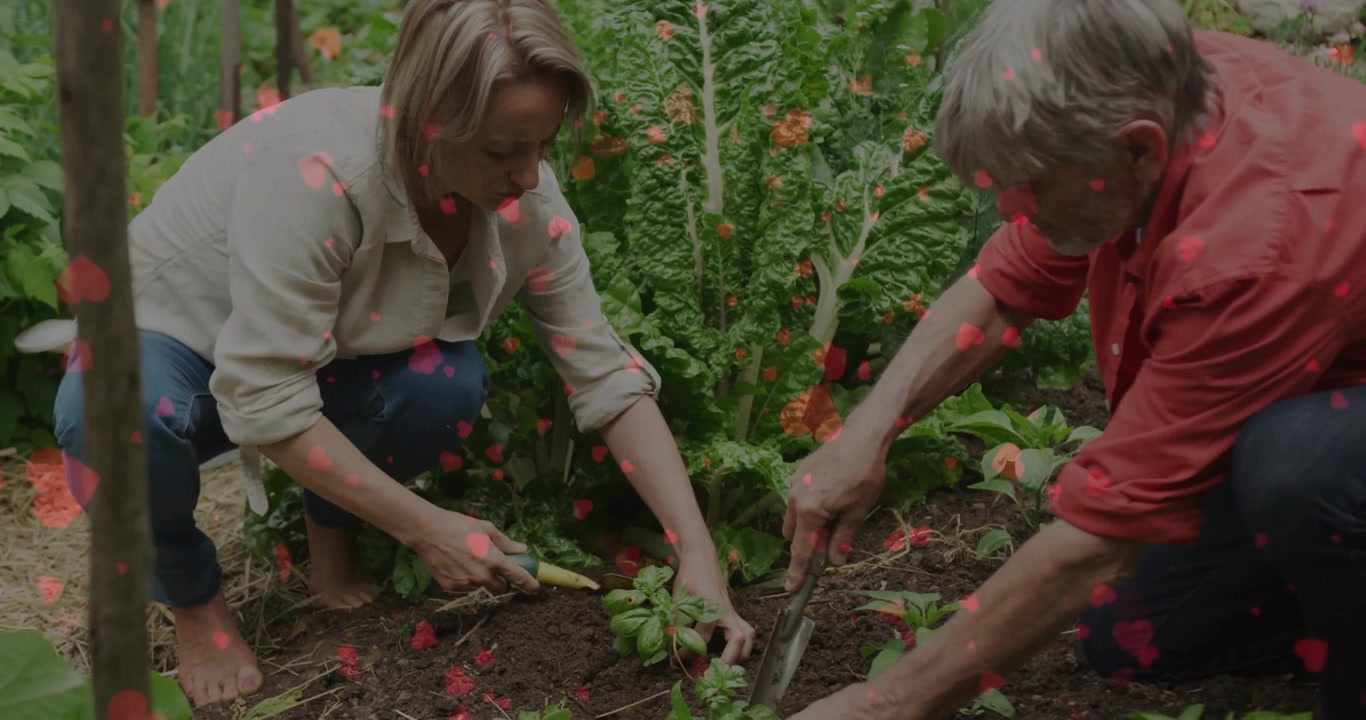 Koppel wisselt blikken uit en plant zaailing in tuingezondheidstutorial met geanimeerde bodemgids.