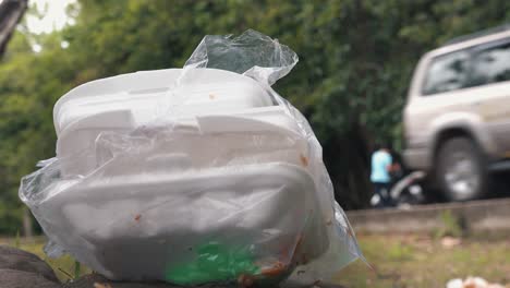 Entsorgen-Sie-Müll-Und-Einwegplastik-Am-Straßenrand-In-Einem-Wald