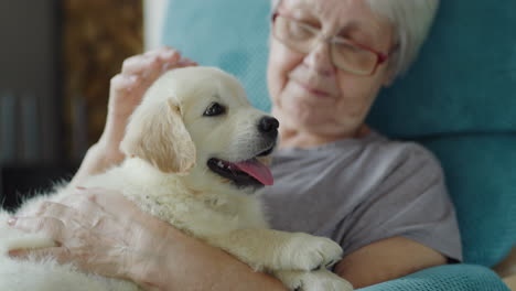 La-Mujer-Mayor-Está-Descansando-En-Una-Silla-Con-Un-Cachorro-En-Sus-Brazos.-Comodidad-En-El-Hogar-Y-Vejez-Segura