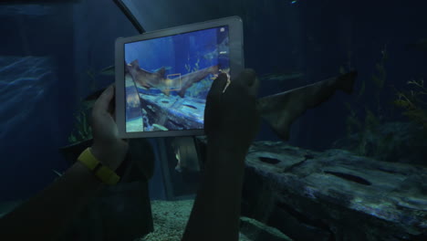 taking pictures of shark by tablet at big aquarium siam ocean world bangkok thailand