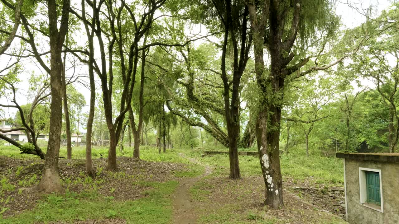 Parque verde en Pokhara, Nepal