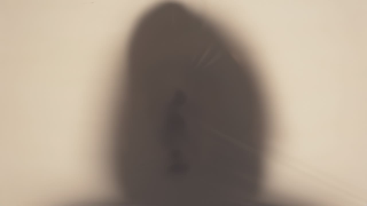 헬로판을 고 은 머리를 는 인간 머리의 클로즈업 실루, 다른 세계에 대한 생각, 폭력의 희생자, 비정상, 유령, 스피드 램프 효과의 4k 비디오 루프.