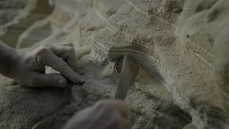 uncovering an ancient fossil from rock