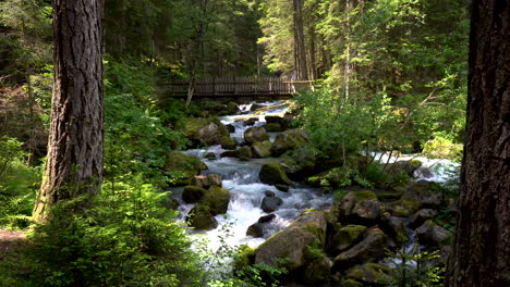 Wilder-Bergbach-Im-Grünen-Tal