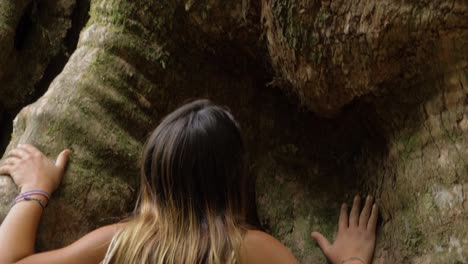 Wishing-Tree-Sign-Nailed-On-Huge-Trunk-With-Woman-Standing---Lamington-National-Park-In-Queensland,-Australia