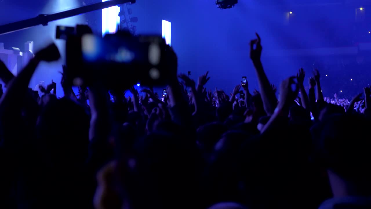 Persone che ballano e alzano le mani al concerto.