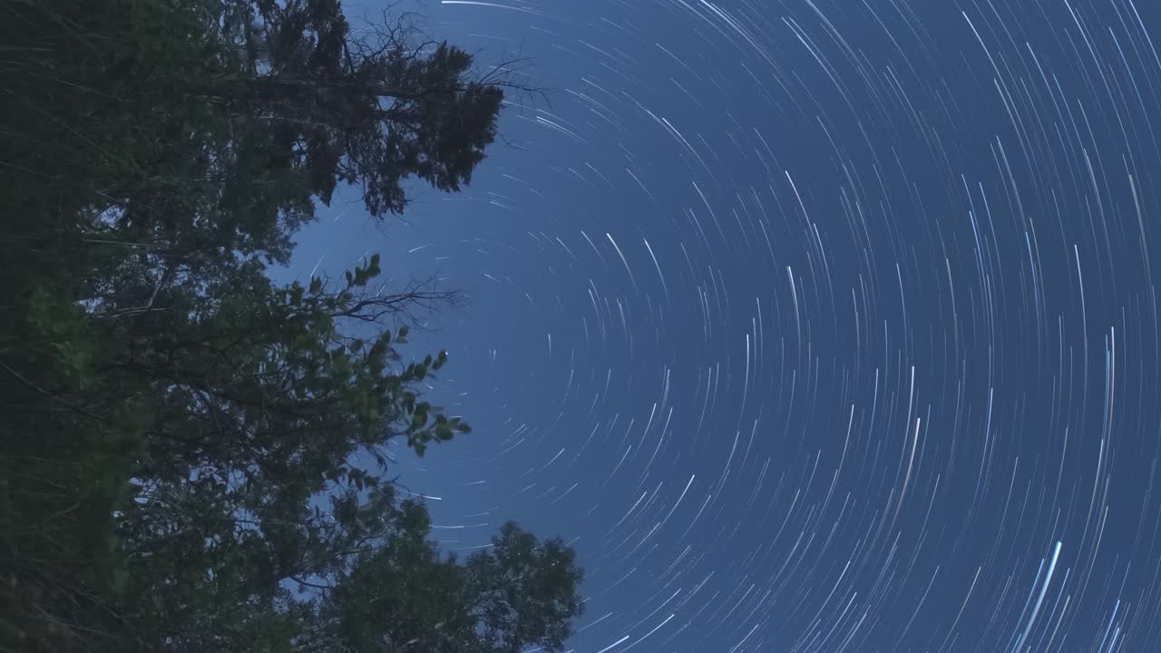 senderos de estrellas desde el atardecer hasta el amanecer lapso de tiempo alrededor de polaris en orientación vertical - árboles del bosque en primer plano