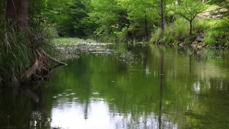 Static-video-of-the-Medina-River-in-Medina-Texas