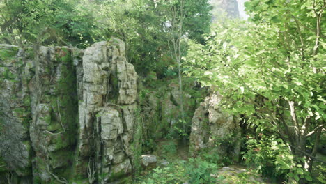 un acantilado de musgo en un bosque verde exuberante