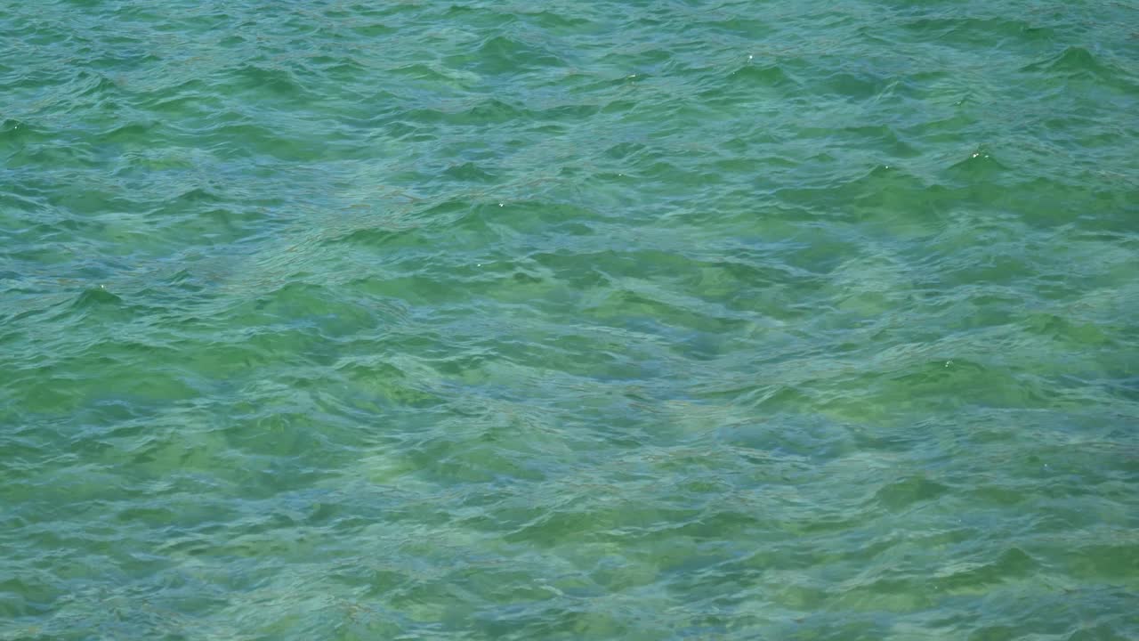 청록색 물이 소용돌이치며, 놀라운 질감으로 얕아집니다.