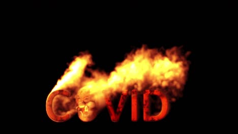 text covid with man skull burning on black background, isolated - loop video