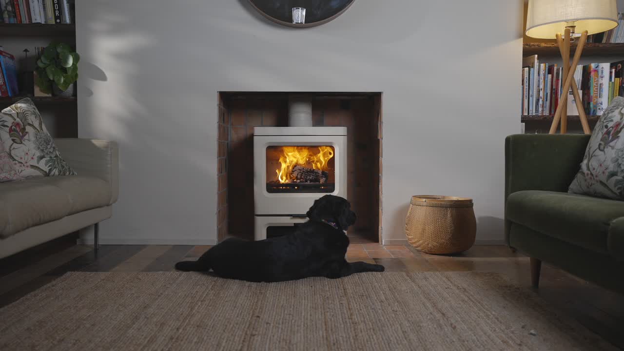 불타는 스토브 앞에 누워 있는 검은 개