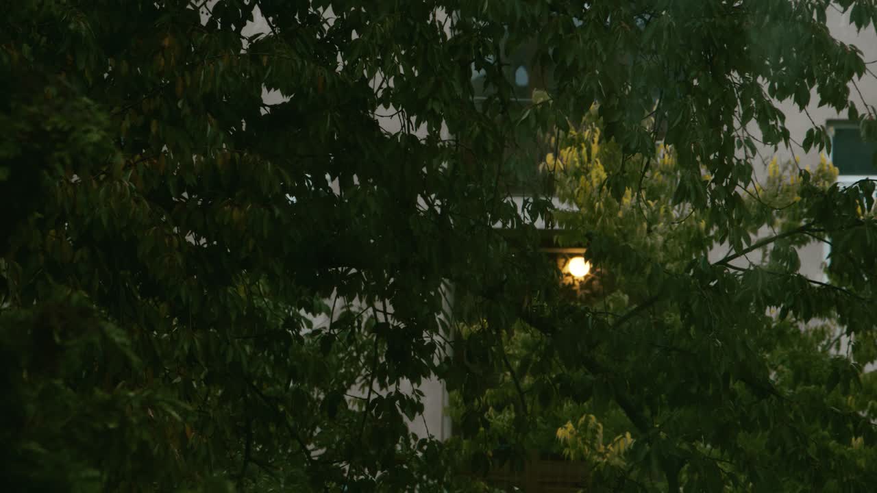 소나무와 덤불이 있는 가을비 아래 유럽의 나무와 꽃