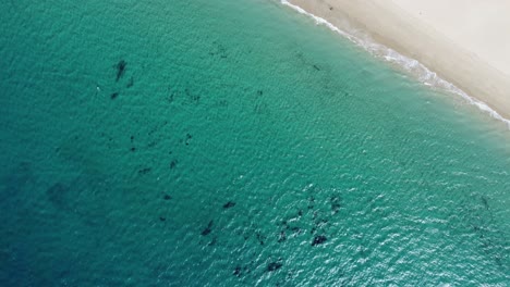 Perfektes-Kristallklares-Wasser-An-Einem-Weißen-Strand-In-Bolonia-In-Der-Nähe-Von-Tarifa-In-Spanien,-Drohnenvideo