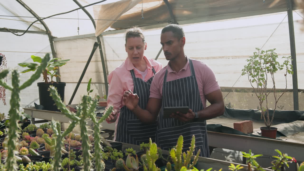 Women tending plants in greenhouse, wearing aprons, enjoying gardening together