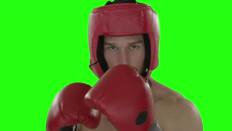 Boxer-Schlägt-Zu-Und-Blickt-In-Die-Kamera
