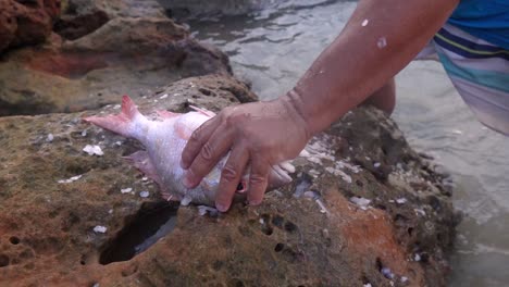 Manos-Masculinas-Quitando-Las-Espinas-De-Pescado-Con-Un-Cuchillo-Sobre-Rocas-Marinas