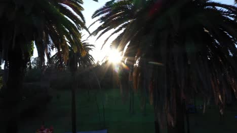 Drone-shot-of-palm-trees-panning-right-during-golden-sunset-hour-with-sun-flare-peeking-and-clear-blue-skies-in-Los-Angeles,-California-park-picnic-area-with-a-small-roof-view-of-a-pink-bounce-house