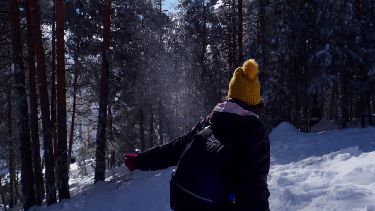 Mulher Feliz Jogando Neve em Floresta de Inverno Ensolarada