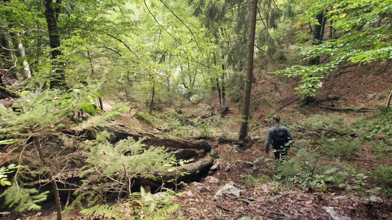 triglav 국립 공원-3에서 봄 동안 슬로베니아의 pokljuka 협곡을 걷는 남자