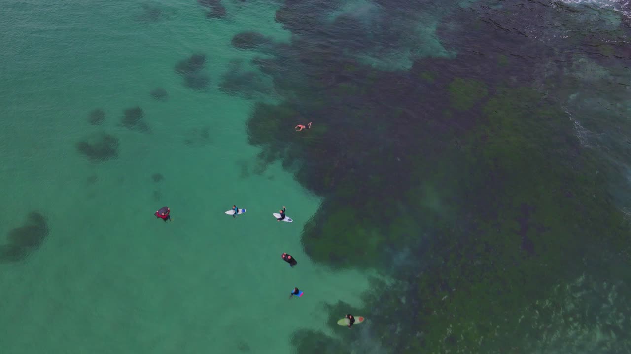 호주 브론테 해변의 서핑보드와 맑은 수경을 가지고 떠다니는 서퍼들의 최고 전망