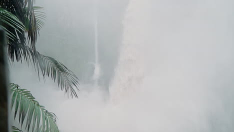 bajos del toro waterfall during rainy season with tree in foreground, costa rica