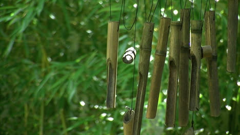 campanas de viento de bambú cuelgan frente a un fondo de plantas de bambú en crecimiento