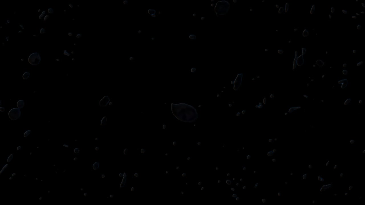 Abstrakt sort blækklat, animeret overlay, transparent 4K-video, alfakanal, ProRes 4444