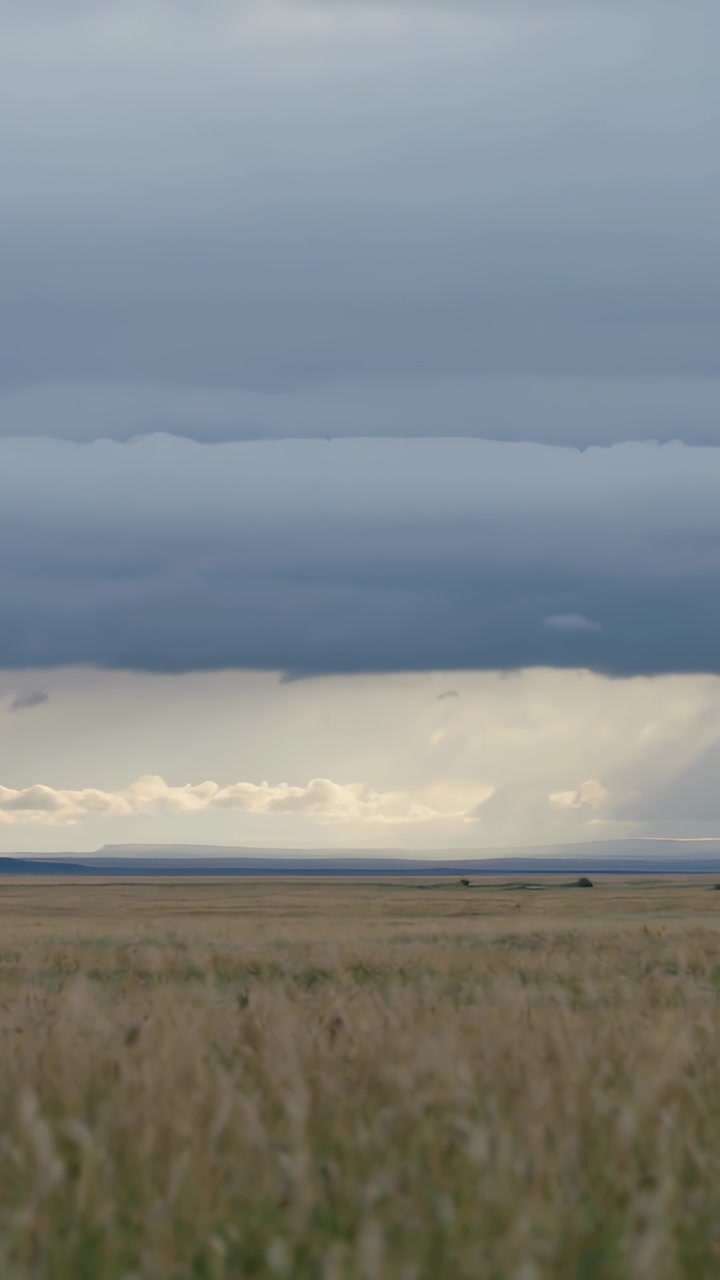 Vertical video: Showing storm cloud bank opening break and sending light shaft over prairie grass