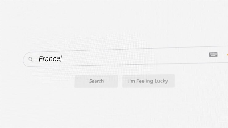 Ricerca della Francia sul browser Internet