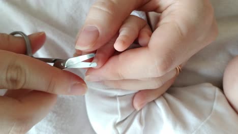 cutting baby infant newborn nails in bed, father mother hands using scissors to trim son's finger nails, top view handheld, interior, day