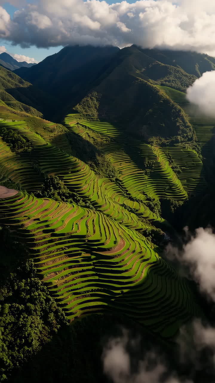 Amazing Rice Terraces in the Mountains