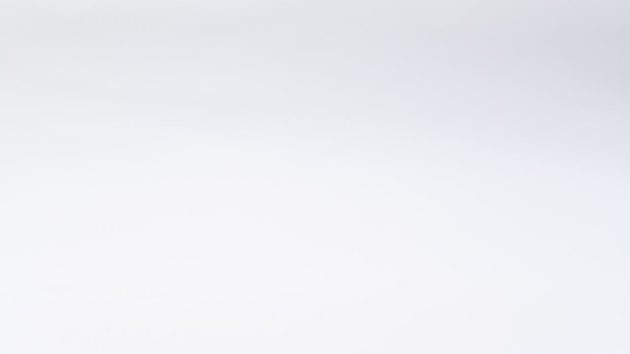 fondo blanco decorado de invierno con ramas de abeto y conos.