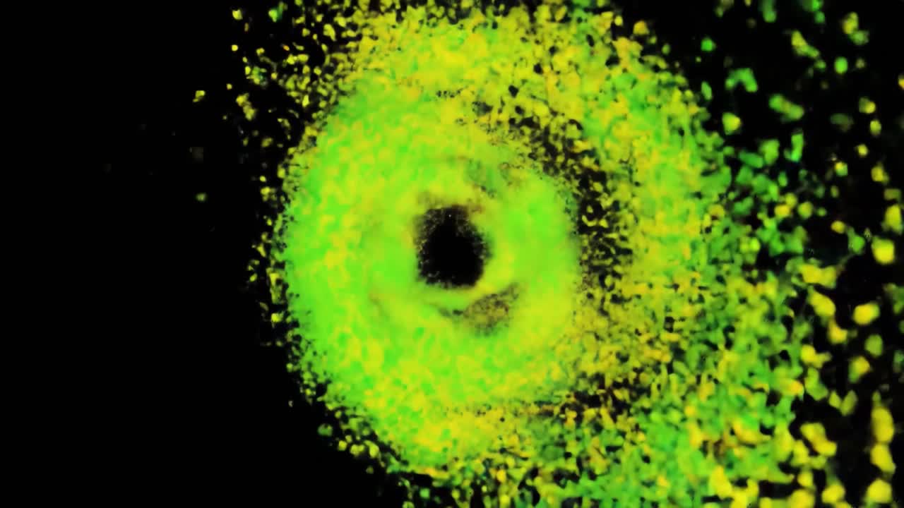 Dynamic Spiral Pattern of Vibrant Green and Yellow Particles Creating a Mesmerizing Visual Display Against a Dark Background