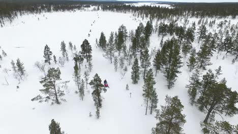 Winter Landscape with Snowmobiles