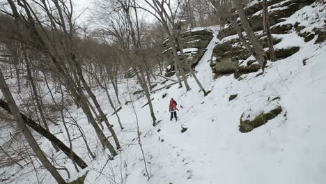 couple walking in cold forest together