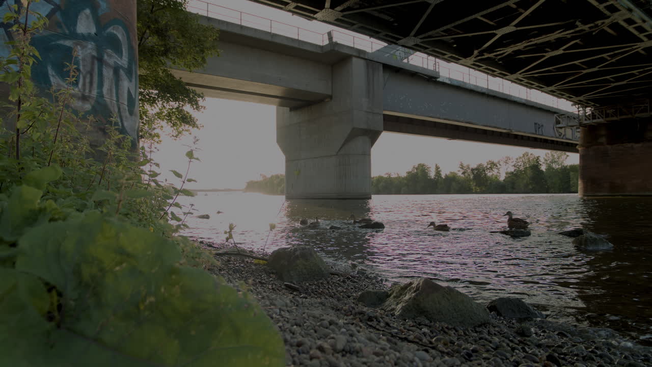 Low angle view under a weathered concrete and steel bridge at sunset. Ducks swim below. Urban decay meets peaceful nature