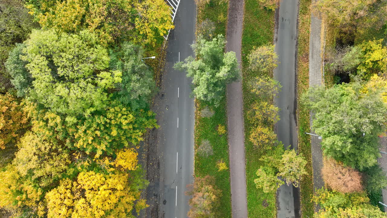 Overhead drone shot of a yellow car driving through a green and orange autumn avenue in Gdańsk