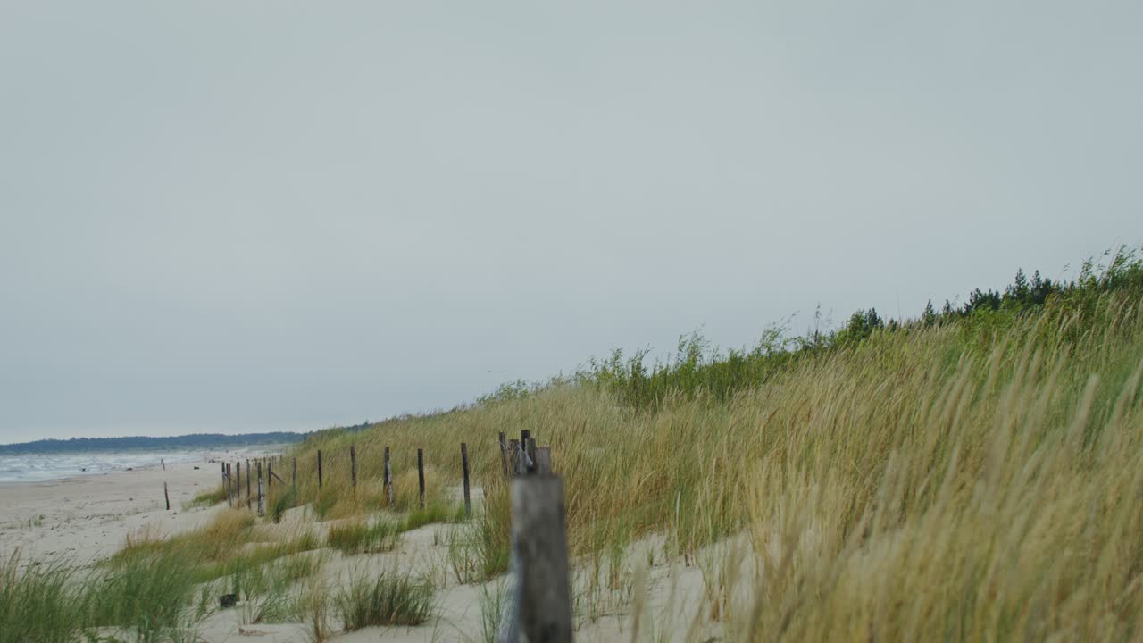 Klitlandskab med hegn og græs