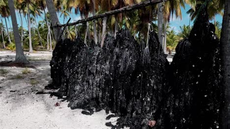 redes de cultivo de perlas negras de tahití