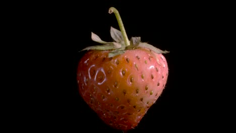 levitating red strawberry. rotating ripe strawberry flying in the air isolated on black background. closeup, camera rotation 360 degrees.