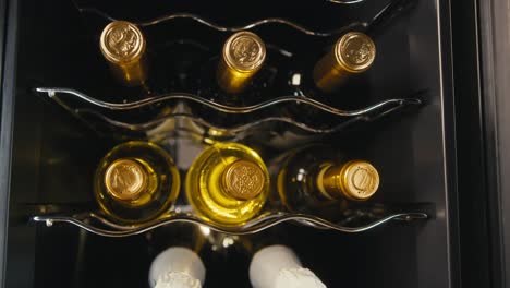 wine bottles in cooler
