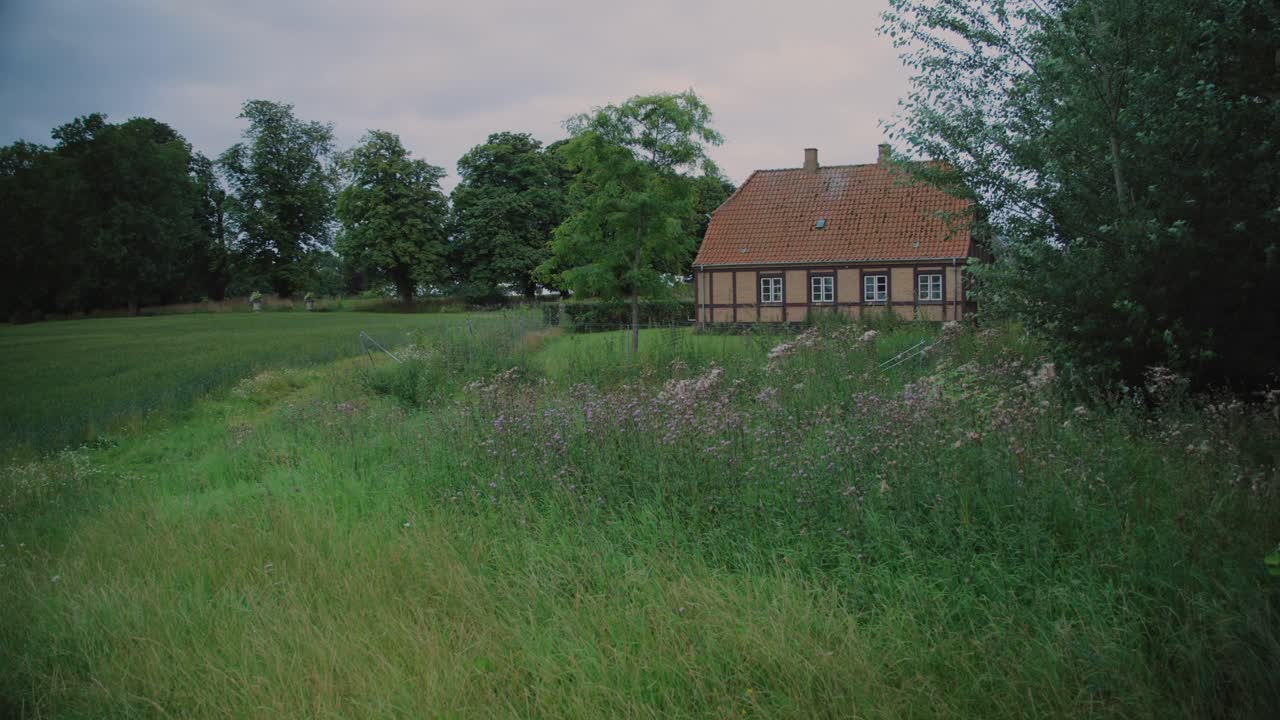 Green field and cottage in Langeland, Denmark, with calm, natural surroundings
