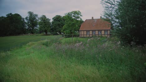 green field and cottage in langeland, denmark, with calm, natural surroundings